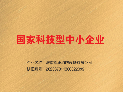 國家科技型中小企業(yè)